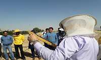 بررسی طرح «هر روستا یک مهارت» در شهرستان مرودشت